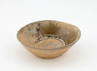 "Fjell tebolle"