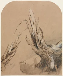 A Blasted Tree recto Floorplan verso, 1851.