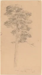 Furutre