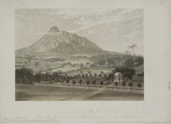 Hage ved Buitenzorg (akvatint)