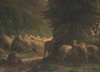Sauer på beite langs en hekk