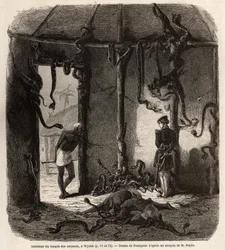 Inne i tempelet til fetisjer slanger, i Wydah, i Dahomey (dagens Benin), tegning av Jean Antoine Foulquier (1822-1896), for å illustrere Dr. Repins reise til Dahomey i 1860. Gravering i "" Le tour du monde" ”, redigert av Edouard Charton