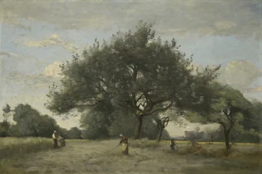 Epletrær på en åker, ca. 1865?-70