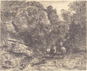 Rytter og Vagabond i Skogen