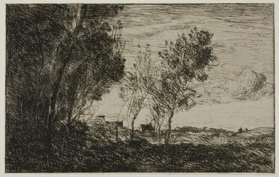 In the Dunes: Suvenir of the Woods of the Hague