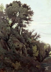 Marino - trær og steiner
