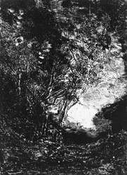 The Ambush L