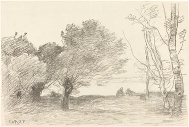 Willows and White Poplars Saules et peupliers blancs, 1871.