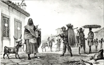 Hus til leie, hest og geit til salgs, fra 