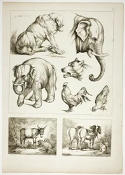Plate 32 av 38 fra Oeuvres de J. B. Huet