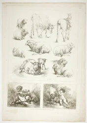 Plate åtte av 38 fra Oeuvres de J. B. Huet