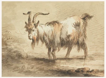 Tegning, studie av en geit, 1772