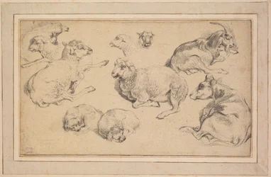 Ark med studier med sauer, geiter og hunder, ca. 1780.