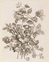 Tallerken fra "The Book of All Kinds of Flowers from Nature"