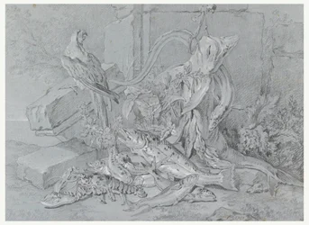 Tegning, stilleben med fisk og papegøye, 1740