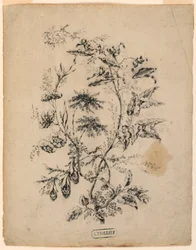 Tegning, Gren av et fantastisk tre, 1775–1800