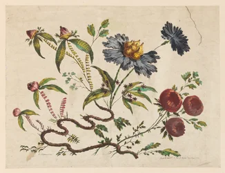 Blomstergrener, fra "Samling av forskjellige fantasiblomster i kinesisk smak"