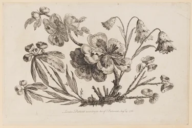 Flower Boughs, fra "Collection of Chinese Flowers"