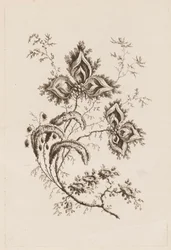 Blomstergren, fra "Fleures Persannes"
