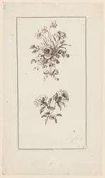 Blomstergrener, fra "Divers Bouquets d
