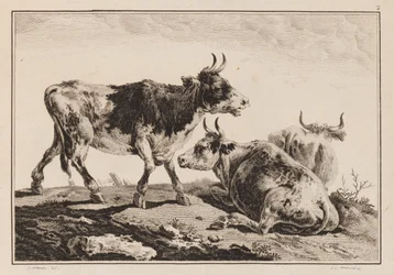 Plate 2, fra "Notebook of Six Sheets of Oxen and Cows"