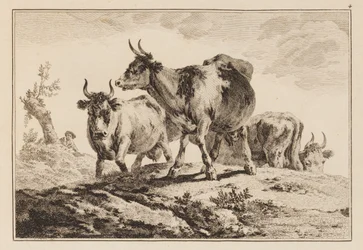 Plate 4, fra "Notebook of Six Sheets of Oxen and Cows"