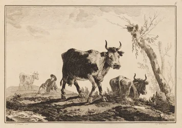 Plate 5, "Notatbok med seks ark med okser og kyr"