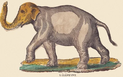 Elefanten, ca. 1840–1852 (litografi)