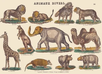 Diverse dyr, ca. 1840–1852 (litografi)