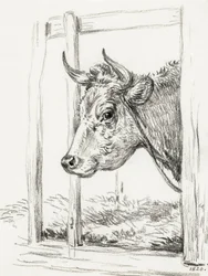 «Kuhode» (1820)