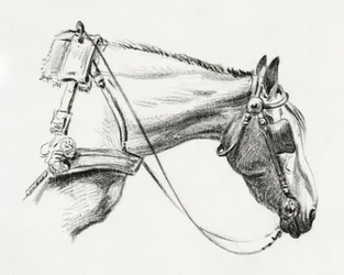 Hestehode (1820)
