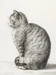 Sittende katt (1815)