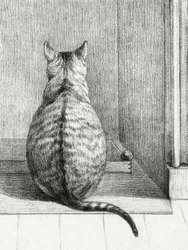 Sittende katt, sett bakfra (1812)