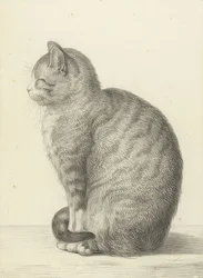Sittende katt, til venstre. 1815