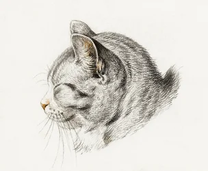 Skisse av en katt (1813)