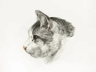 Skisse av en katt (1819) av Jean Bernard (1775–1883)
