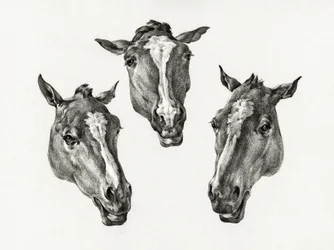 Tre hestehoder (1812)