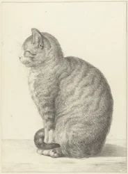 Sittende katt, til venstre