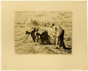Gleanerne