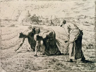The Gleaners, 1855