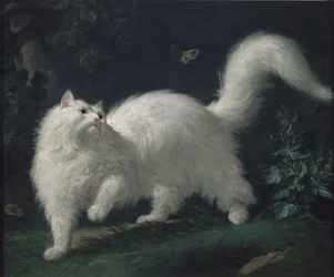 Angorakatt som jager en sommerfugl, ca. 1760