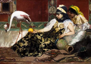 Den rosa flamingoen