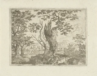 Landskap med et knust tre