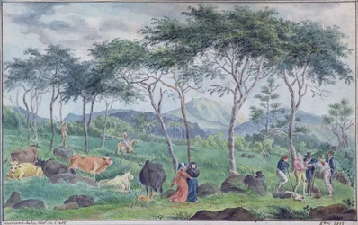 Besetning med storfe med kuhyrder nær elven øst for Ile de la Reunion, oktober 1812