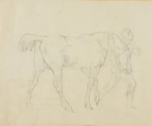 Stallkar som leier en hest