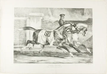 Hester trener, plate 6 fra Diverse emner hentet fra Livet på stein