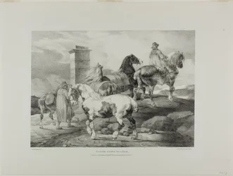 Hester på vei til et marked, plansje 3 fra Diverse emner hentet fra livet og på stein (Den engelske suiten)