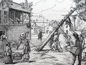 Plantingen av maistangen