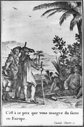 'Det er til denne prisen du spiser sukker i Europa', illustrasjon fra kapittel 19 i 'Candide' av Francois Voltaire (1694-1778) gravert av Pierre Charles Baquoy (1759-1829) 1787 (gravering) (s/hv foto)