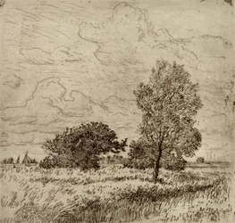 Sommervind, 1904-06 (tørrpunkt)